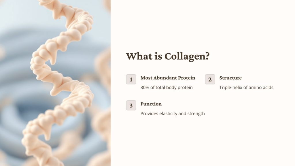 What-is-Collagen